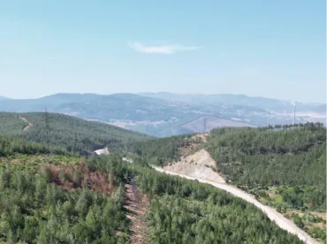 Fethiye Peyzaj İşleri